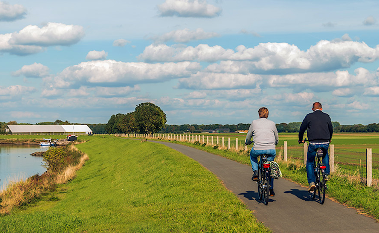 afbeelding fietsers