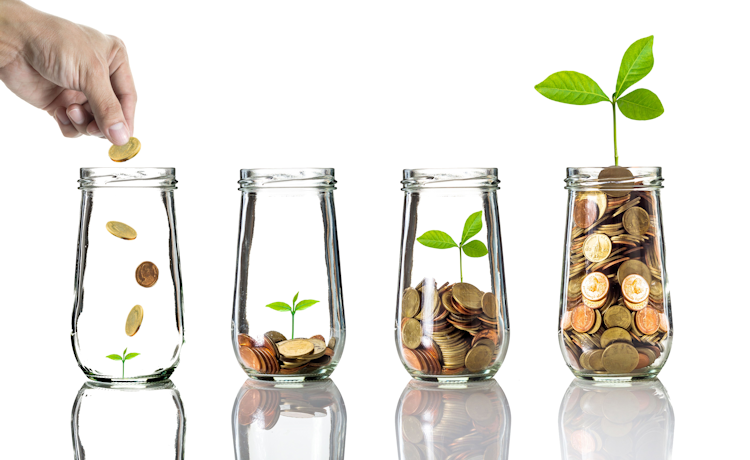 illustration pots with growing plants