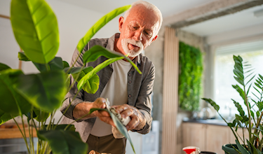 illustratie oudere man verzorgt groene kamerplant